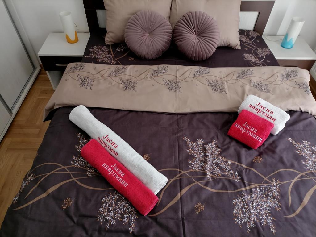 Postel nebo postele na pokoji v ubytování Apartman Jasna