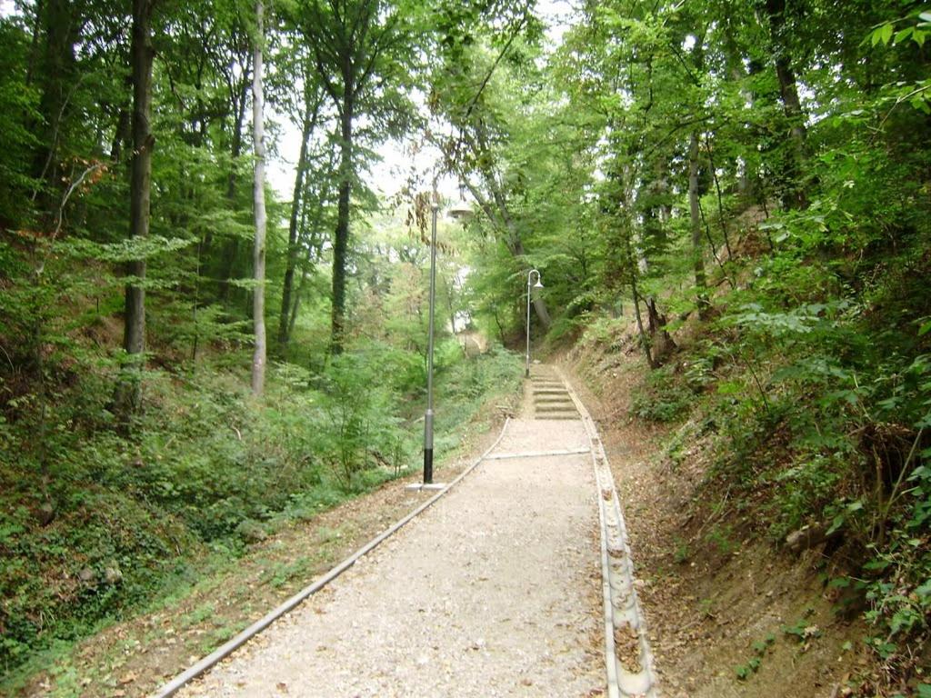 Stross Apartments - 9