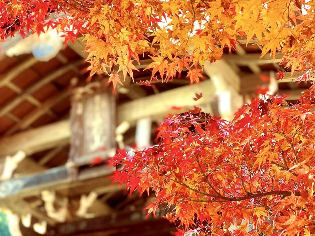 Fotografie z fotogalerie ubytování Sun Members Kyoto Saga v Kjótu