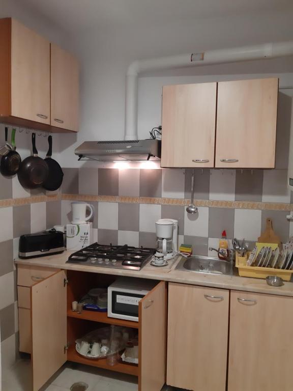 Kuchyň nebo kuchyňský kout v ubytování Carol 51 Hostel
