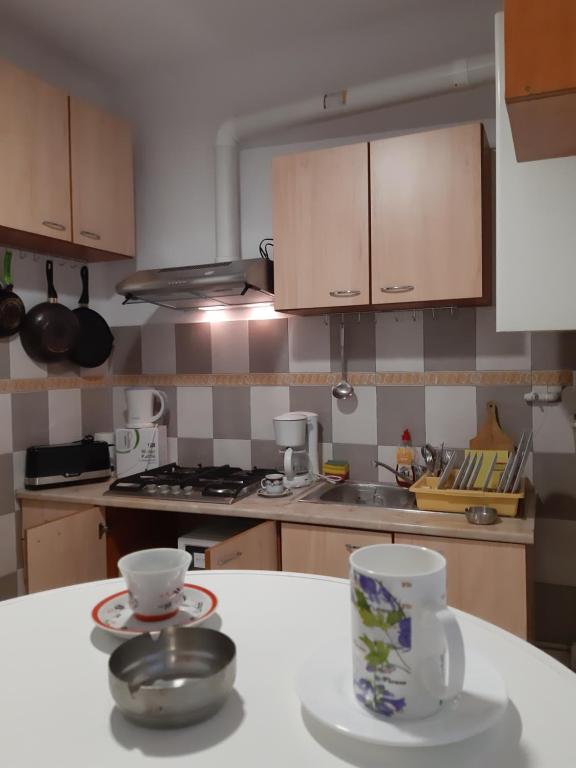 Kuchyň nebo kuchyňský kout v ubytování Carol 51 Hostel