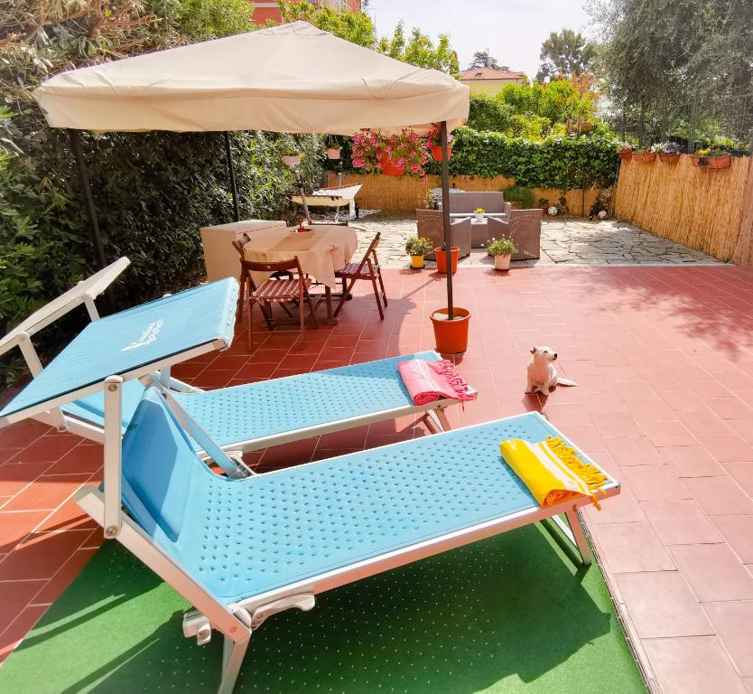 um pátio com 2 cadeiras e um guarda-sol em Vicky's homestay Sanremo - C. CITRA 008055-LT-1257 em Sanremo