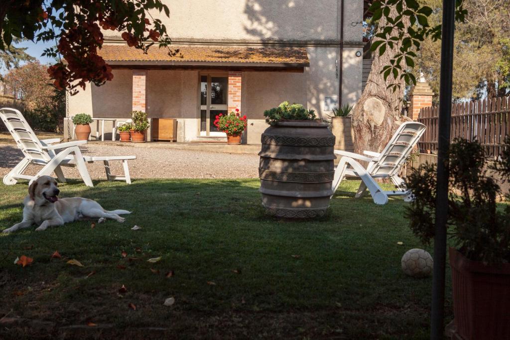 a dog laying on the grass in a yard at La Fondona in Campagnatico