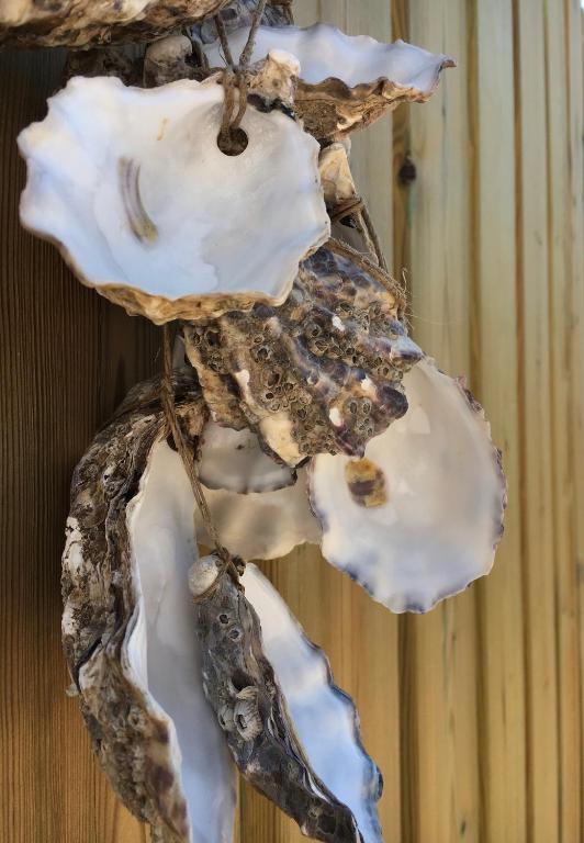 a group of seashells hanging on a wall at Les Bains Boyardville - Hôtel et Restaurant in Boyard-Ville