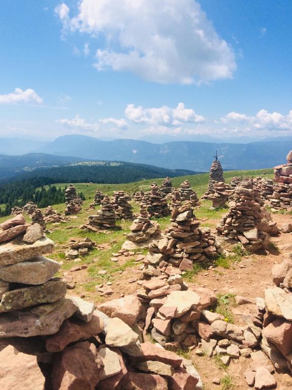 Príroda v okolí apartmánu