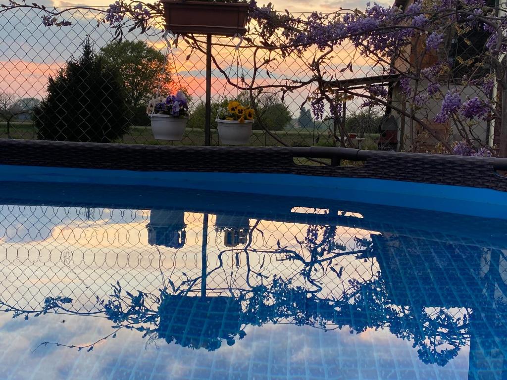 un reflejo de una persona en una piscina en B&B Happiness in the Country, en Brescello