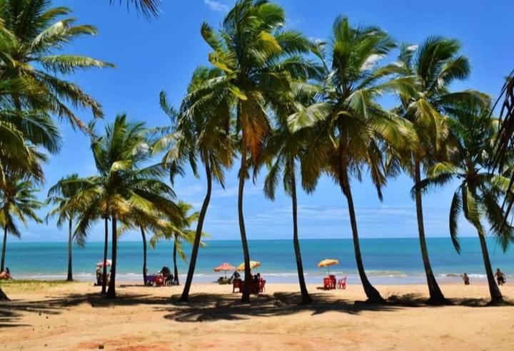 a group of palm trees on a beach with the ocean at P&M'S Porto Seguro Taperapuan in Porto Seguro