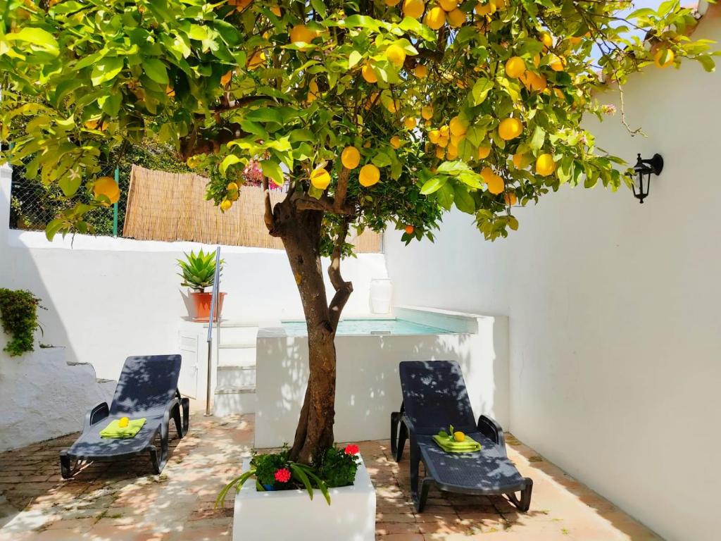 an orange tree in a courtyard with two chairs at Casa el Patio del Limón in Montecorto