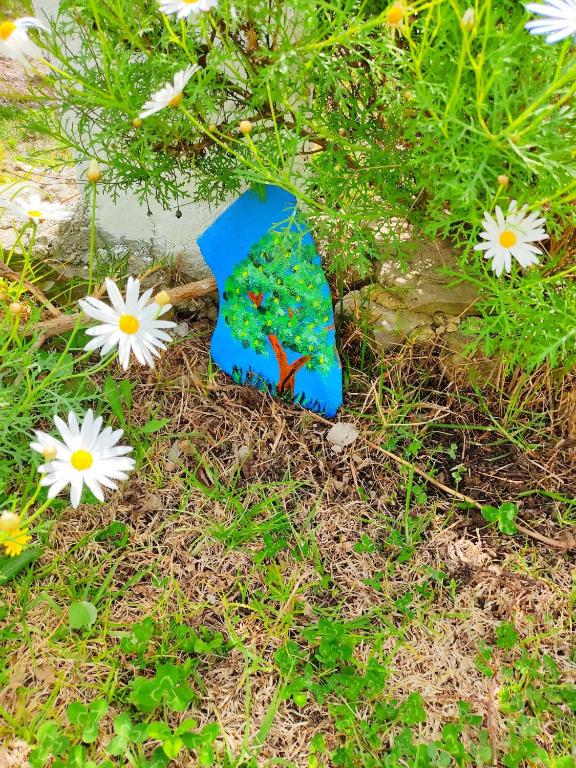 Ogród w obiekcie Villa Huerta Nacimiento