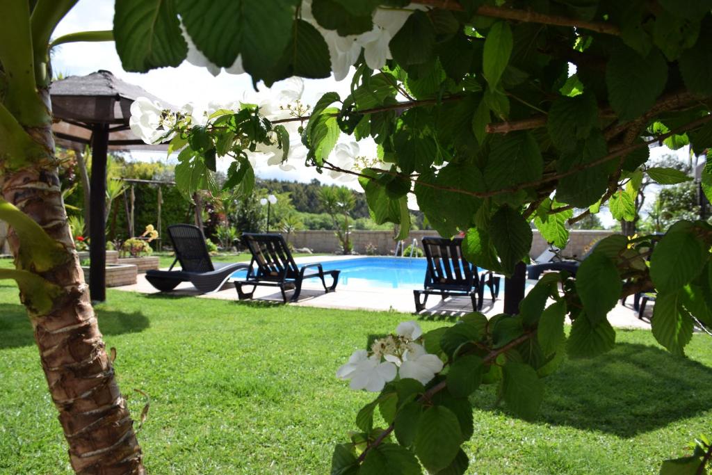 A piscina em ou perto de Alagoas4Family - Country House