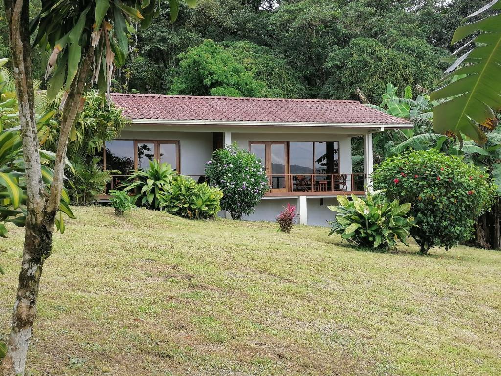 Zahrada ubytování La Ceiba Tree Lodge