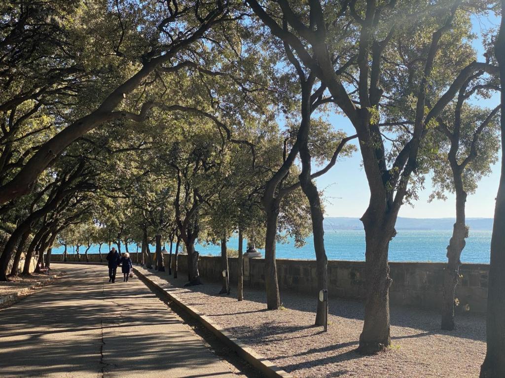 Panorama Apartment - Resim 41