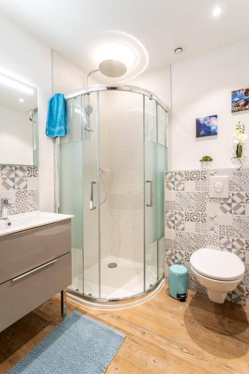 a bathroom with a shower and a toilet at Gîtes Au fil des saisons proximité EUROPA PARK in Diebolsheim