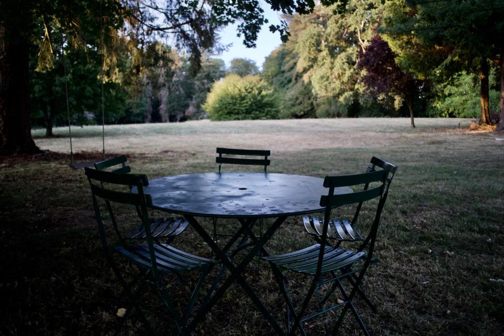 ein Tisch und Stühle auf einem Feld in der Unterkunft LA PETITE MAISON DANS LA PRAIRIE in Mézilles