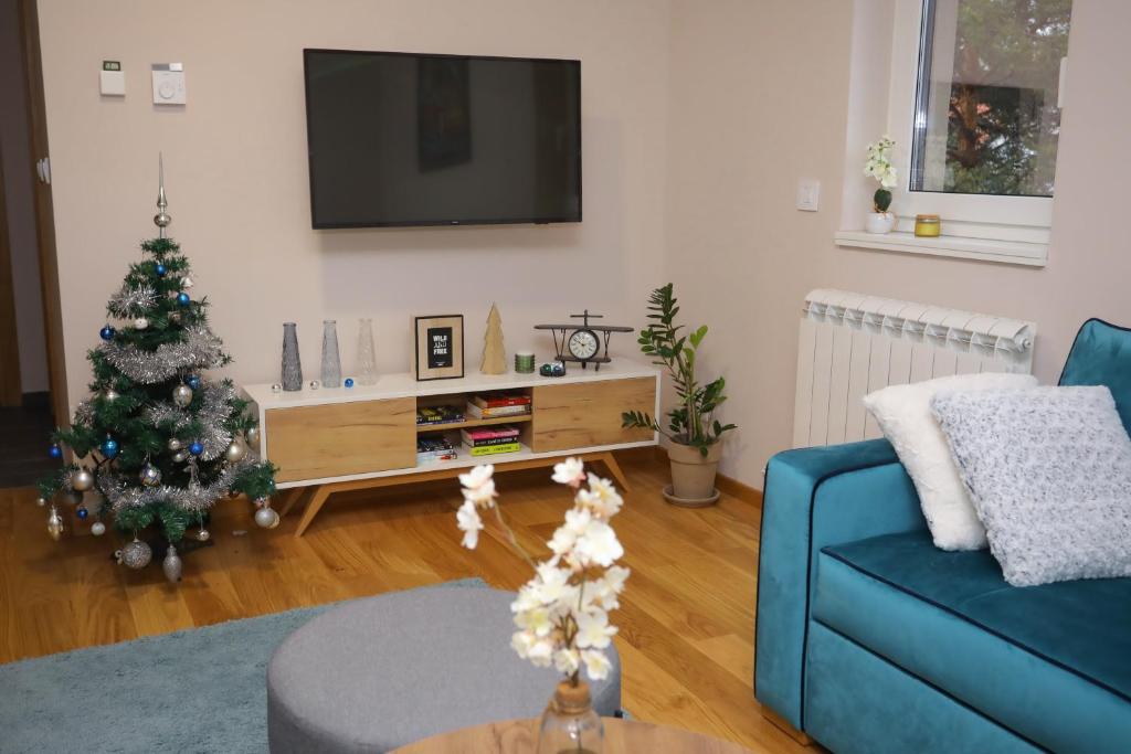 TV a/nebo společenská místnost v ubytování Mipet apartmani