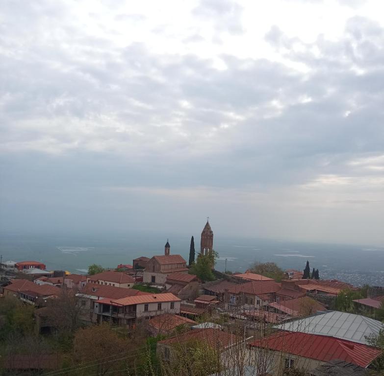 Příroda nedaleko penzionu