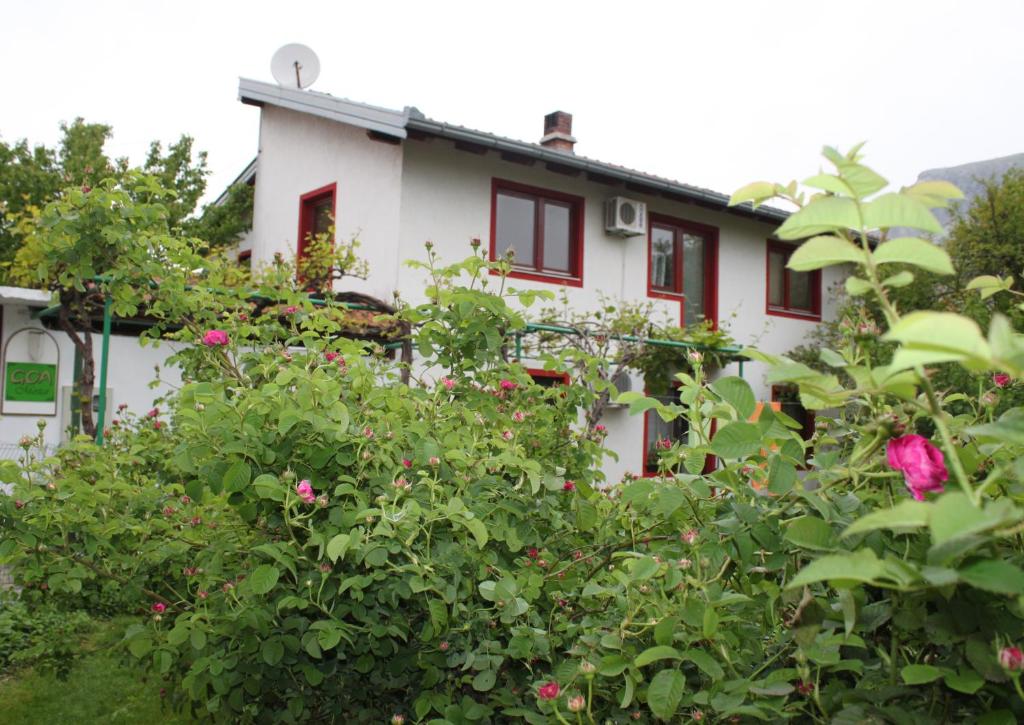 Zahrada ubytování Guest House Goa Mostar