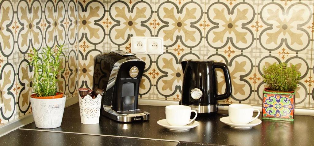 a kitchen counter with two coffee makers and plants at Apartmány u komína in Terezín