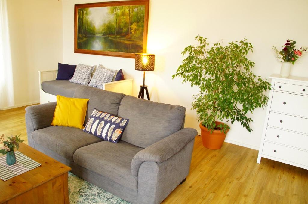 a living room with a couch and a plant at Apartmány u komína in Terezín
