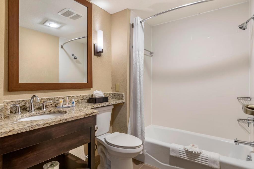 Comfort Inn & Suites Allen Park - Dearborn - 