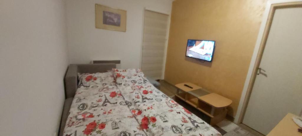 Apartman Gogi電視和／或娛樂中心