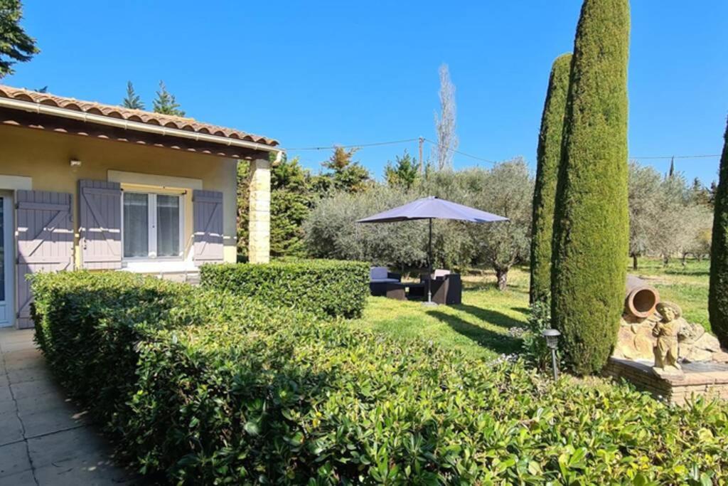 - un jardin avec une maison et un parasol dans l'établissement Home Charmant des Alpilles, à Saint-Étienne-du-Grès