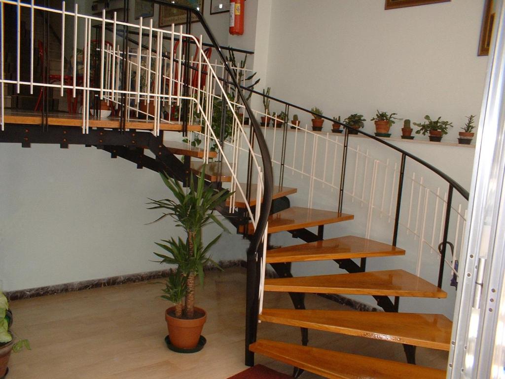 Fotografie z fotogalerie ubytování Hotel Derby v destinaci Cattolica