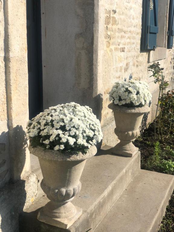 La Belle Epoque - Chambres d'hôtes & SPA في Damvix: مزهرين مليئين بالورود البيضاء جالسين على الدرج