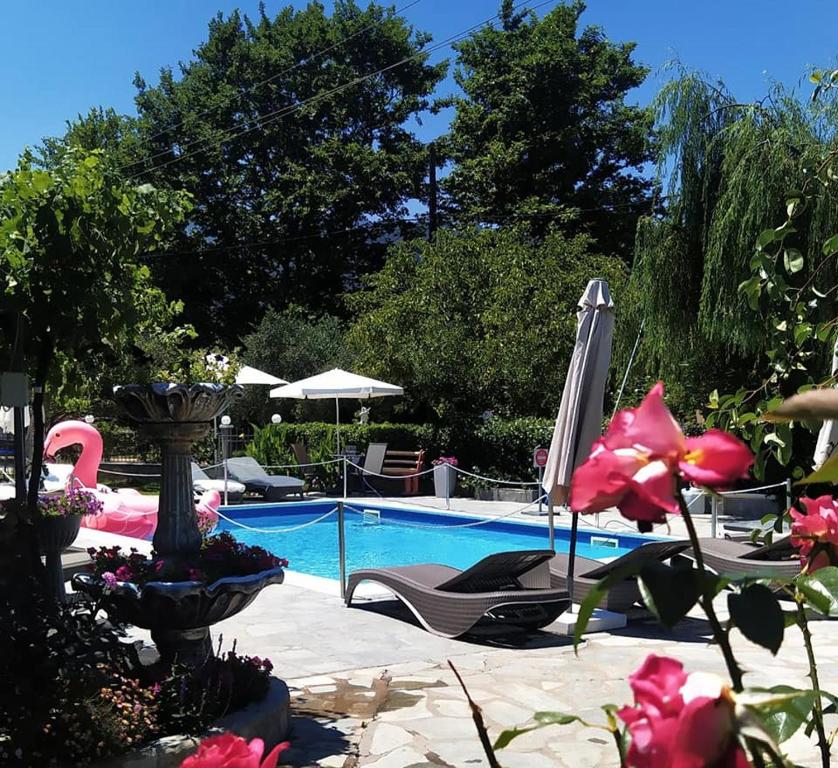 a swimming pool with chairs and a pink flamingo at Villa Valeria Thassos in Limenas