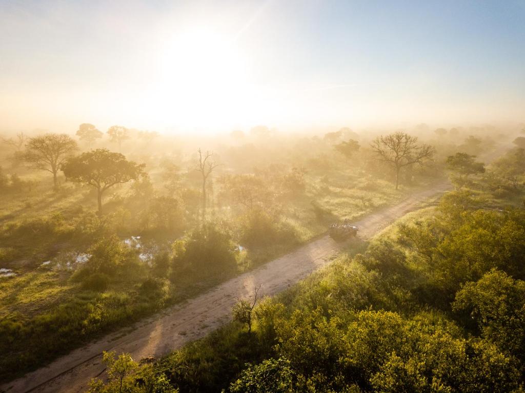 a dirt road in the middle of a field with trees at Shumbalala Game Lodge in Thornybush Game Reserve