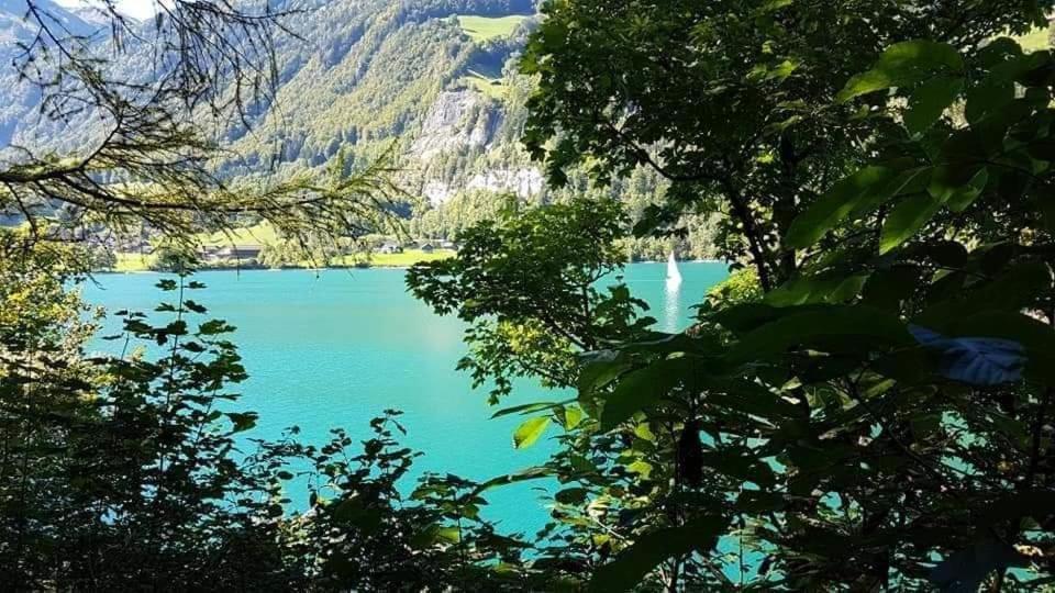 a view of a lake through the trees at Ferienhaus Lungern see-you in Lungern