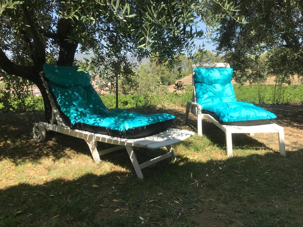 deux chaises assises dans l'herbe sous un arbre dans l'établissement GuestHouse Du Moulin (logement neuf), à Saint-Cyr-sur-Mer
