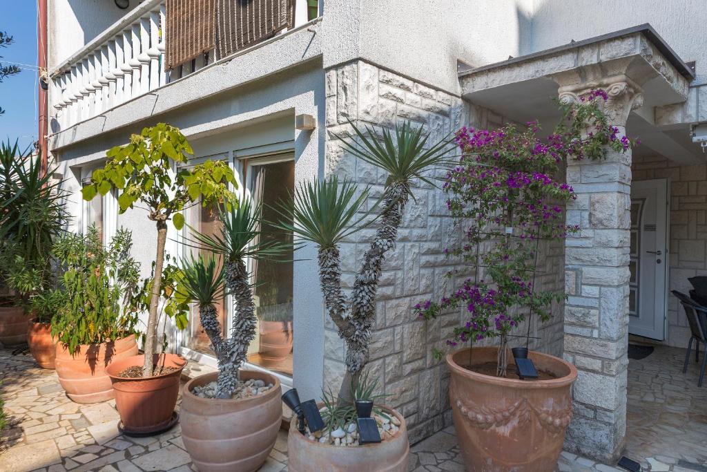 Zahrada ubytování Apartments Villa Lungomare