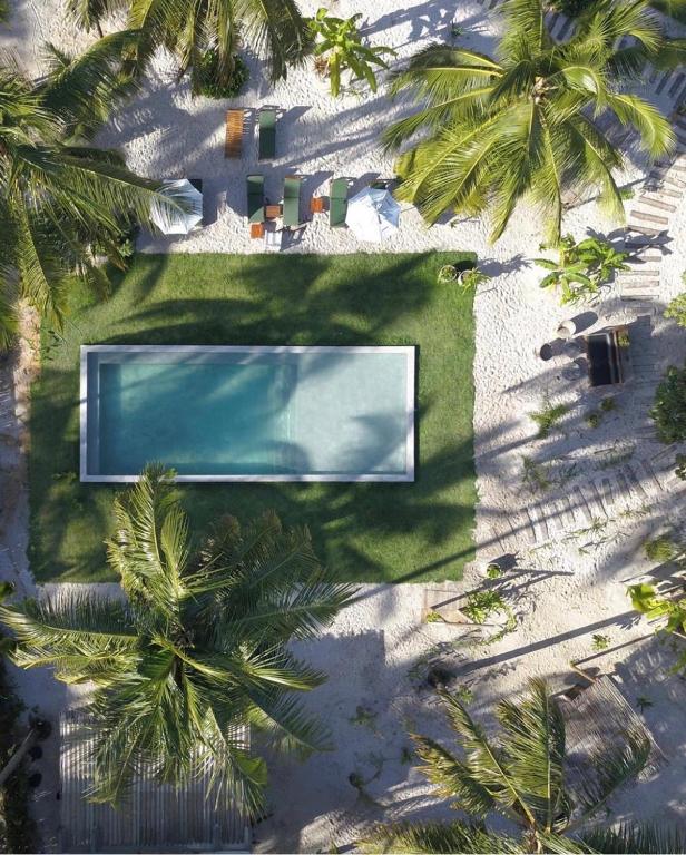 an overhead view of a pool on the beach with palm trees at Quadrado Pousada in São Miguel dos Milagres