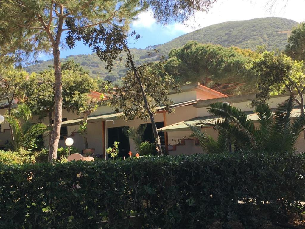 Widok na góry z tego aparthotelu