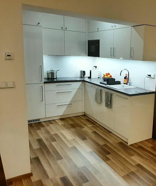 Kuchyň nebo kuchyňský kout v ubytování Apartmán Studnice
