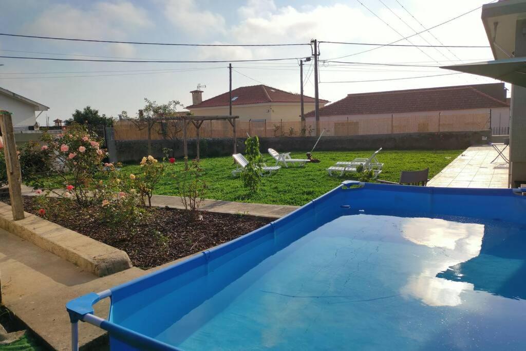a blue swimming pool in a yard with a garden at House with pool and garden in Esmoriz near Porto in Esmoriz