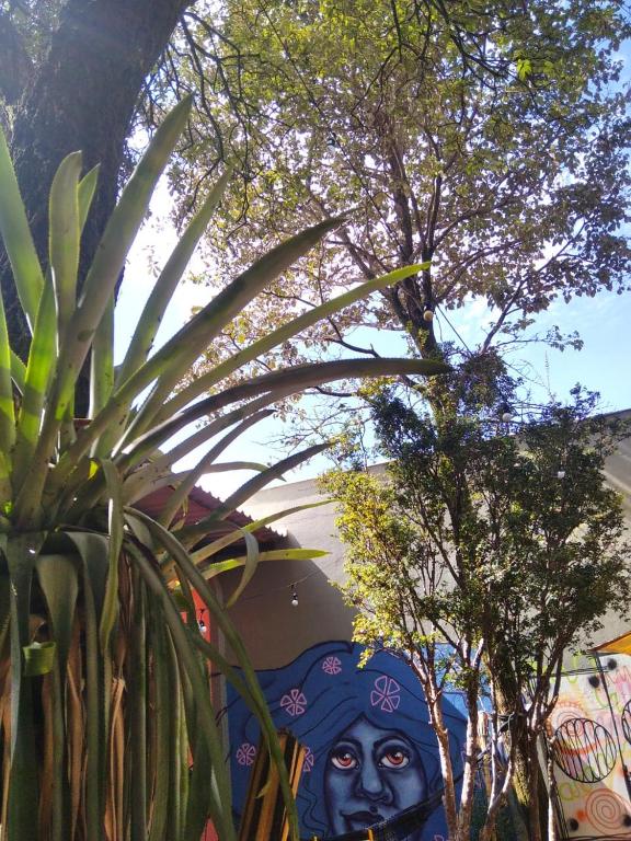 Jardí fora de Home Center