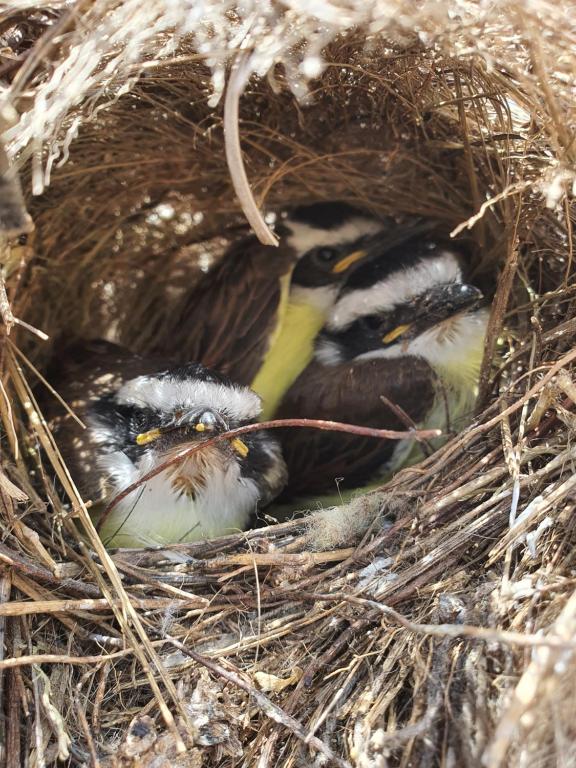  Pousada Recanto da Lunane