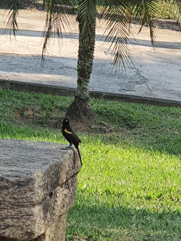  Pousada Recanto da Lunane