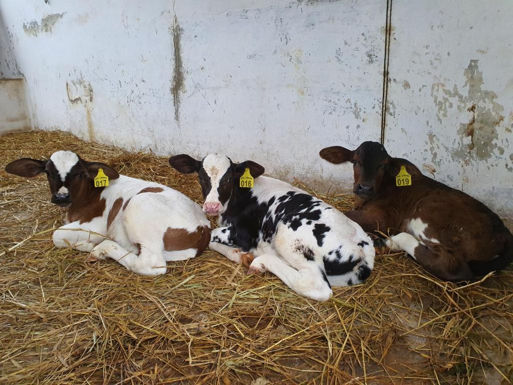  Pousada Recanto da Lunane