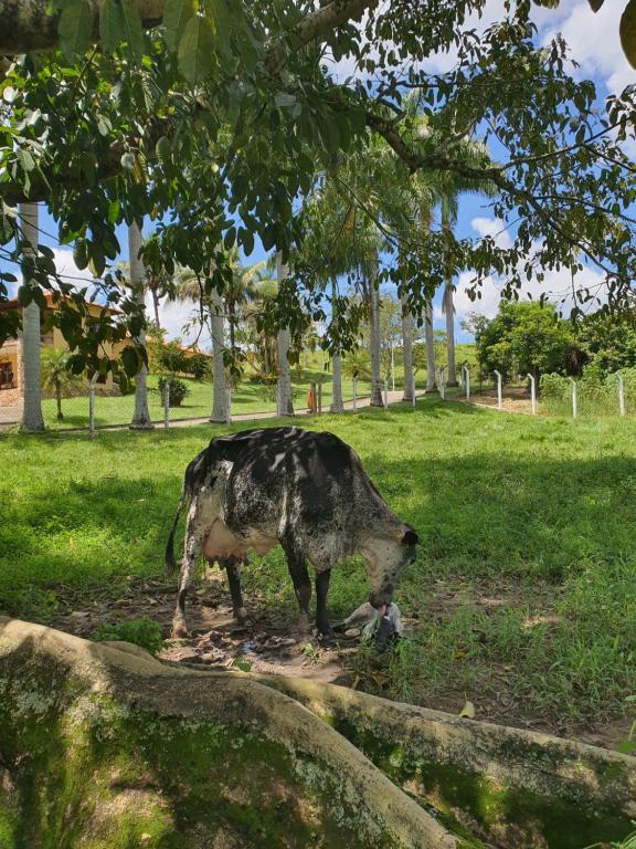  Pousada Recanto da Lunane