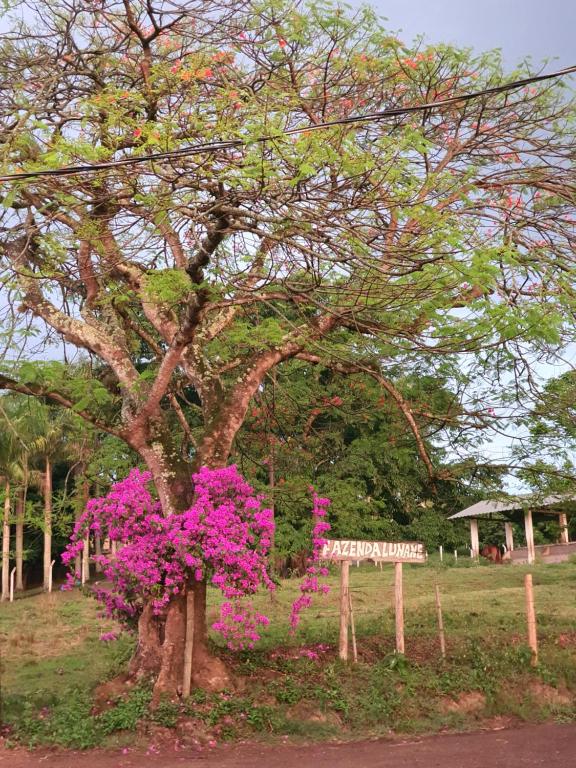  Pousada Recanto da Lunane