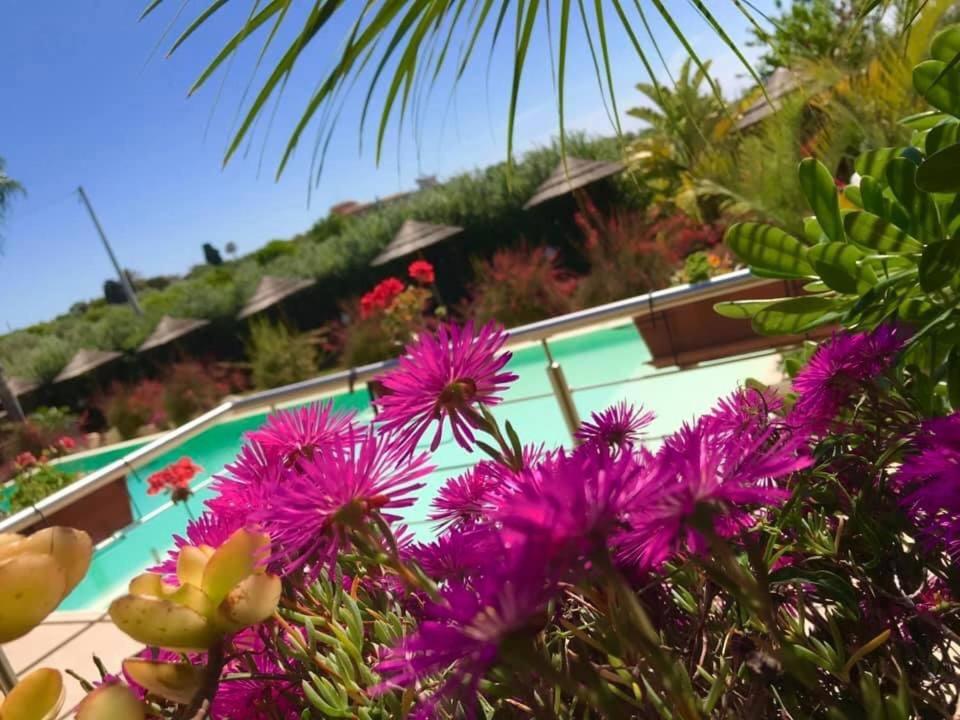 Bazén v ubytování Saija Resort nebo v jeho okolí