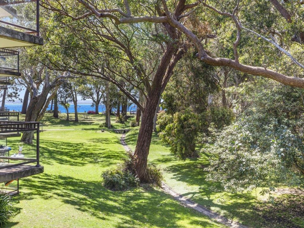 a green park with a tree and a bench at 30 Bay Parklands in Nelson Bay