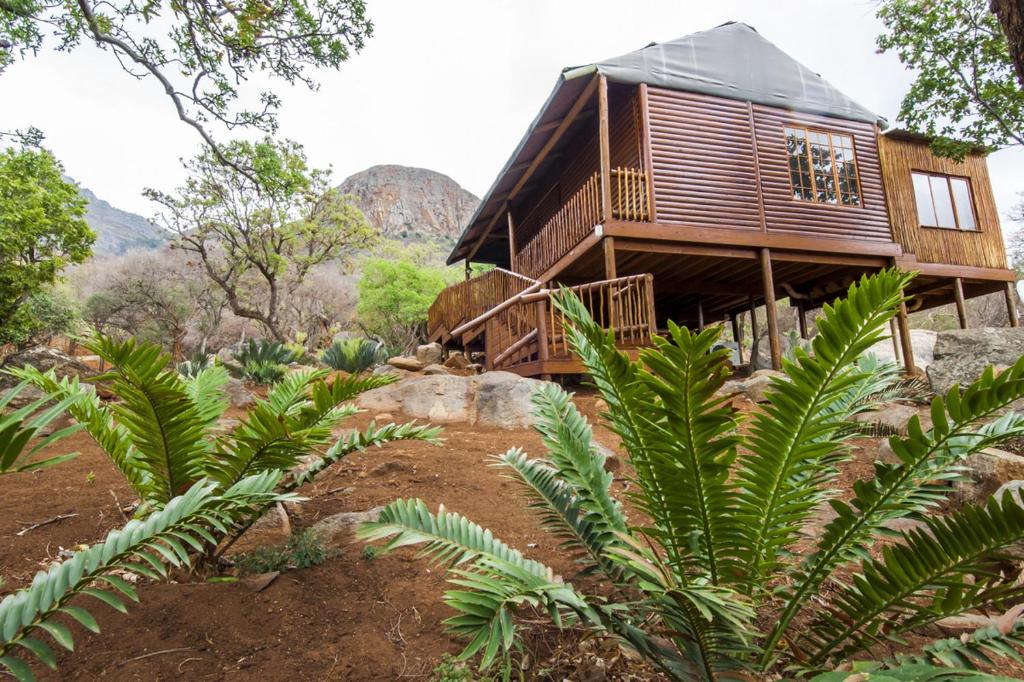 Amafu Forest Lodge - Cabaña De Troncos Con Ducha Al Aire Libre