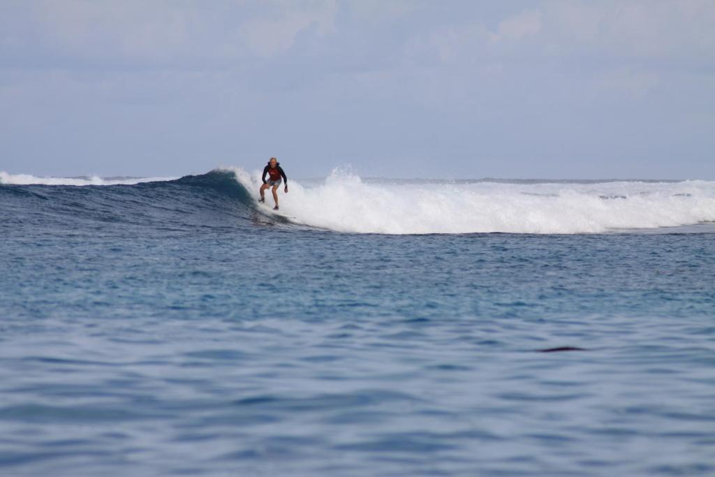 Hosté ubytování Mikado Surf Camp