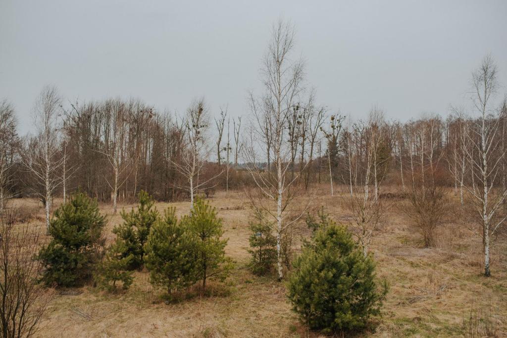 Fotografia z galérie ubytovania Dom Gościnny Sowia Stópka v destinácii Miłomłyn