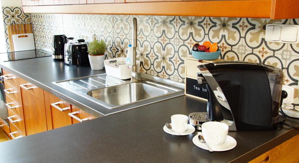 a kitchen with a sink and a counter with coffee cups at Apartmány u komína in Terezín