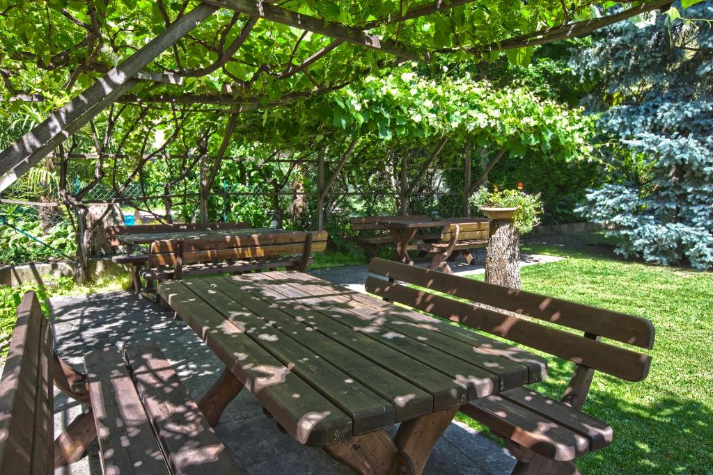 Zahrada ubytování Pension Weingarten
